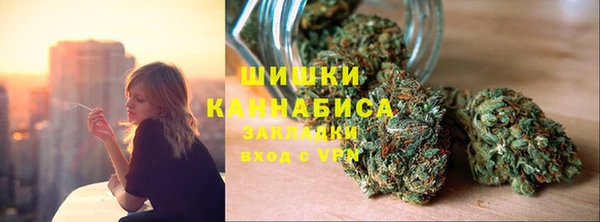 PSILOCYBIN Ладушкин