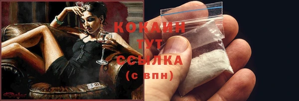крисы Ачинск