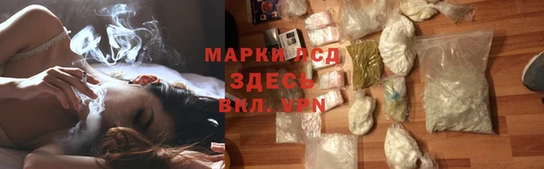 PSILOCYBIN Ладушкин