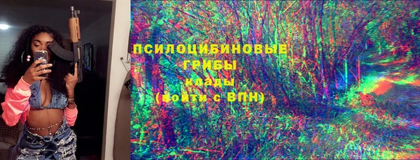 прущие грибы Лагань