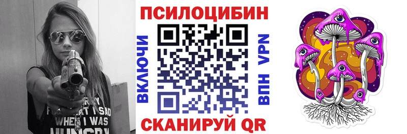 Галлюциногенные грибы Psilocybine cubensis  Екатеринбург 
