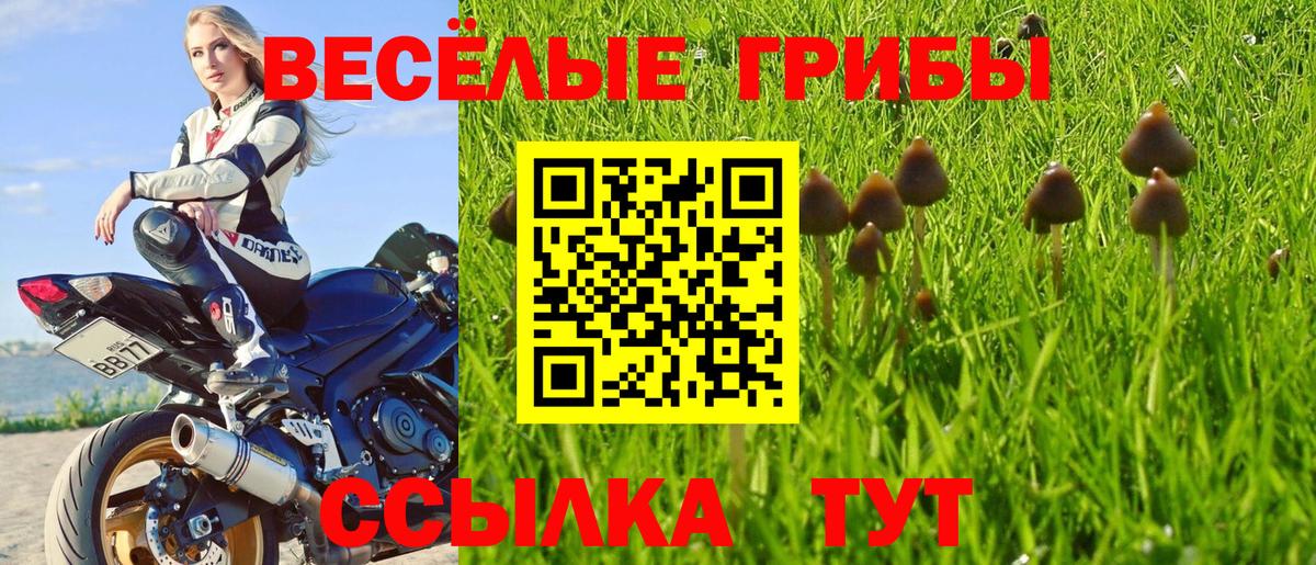 Галлюциногенные грибы GOLDEN TEACHER  Екатеринбург  где можно купить наркотик  Псилоцибиновые грибы Magic Shrooms 