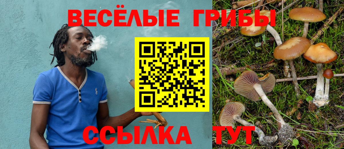 Галлюциногенные грибы прущие грибы Екатеринбург