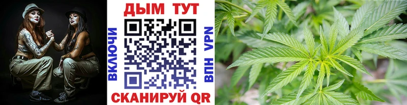 МАРИХУАНА SATIVA & INDICA  blacksprut как зайти  Екатеринбург 